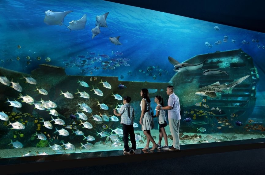 SEA Aquarium